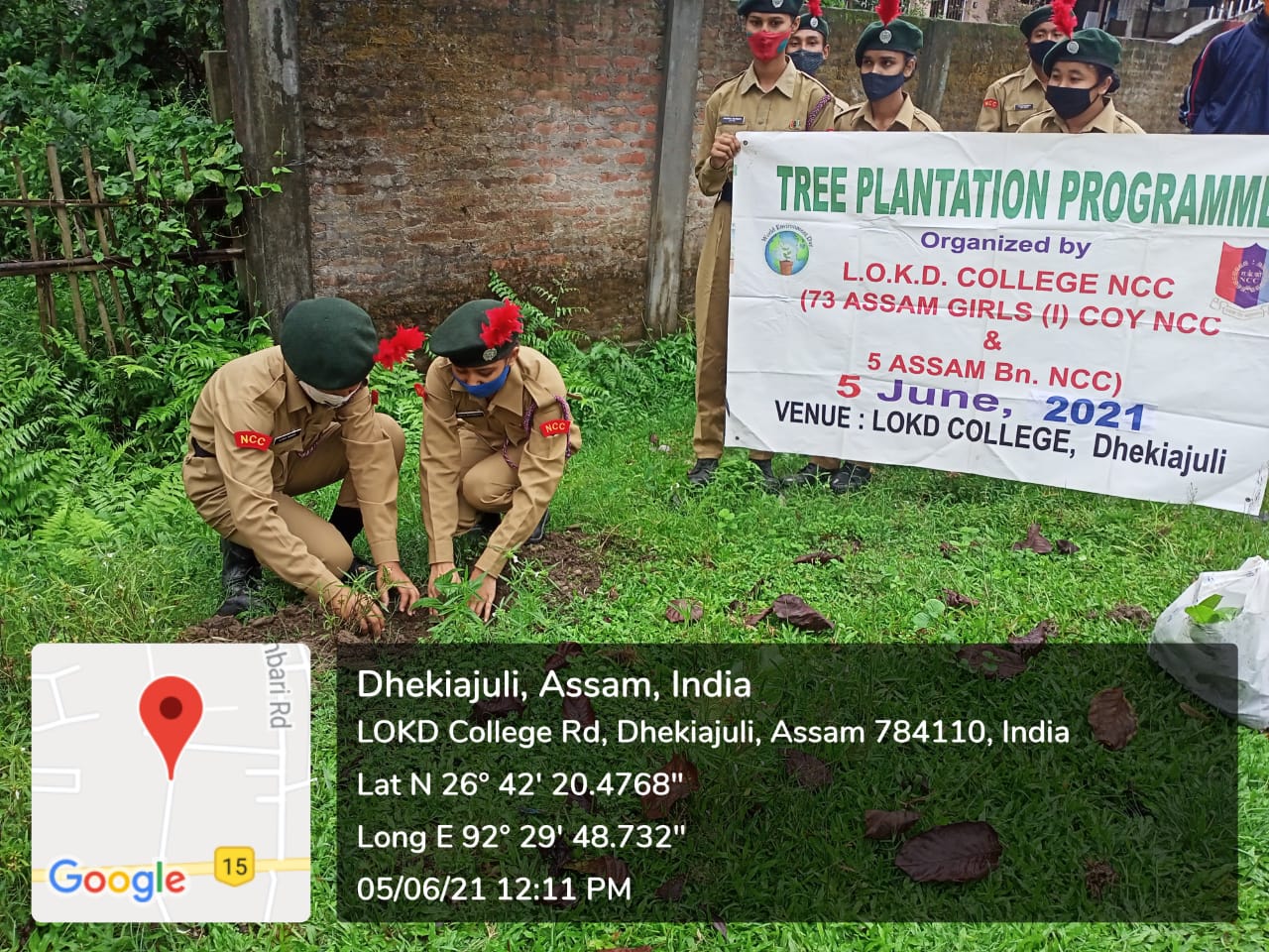 Tree Plantation Program India Ncc