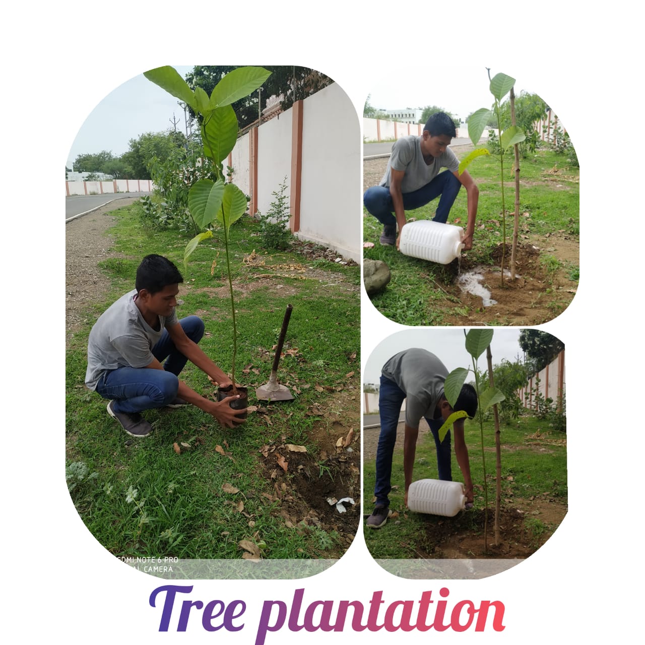 Tree Plantation India Ncc