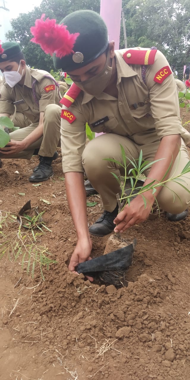 Tree Plantation India NCC