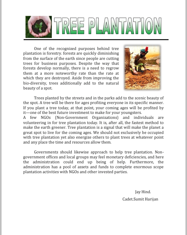 advantages of tree plantation essay 250 words