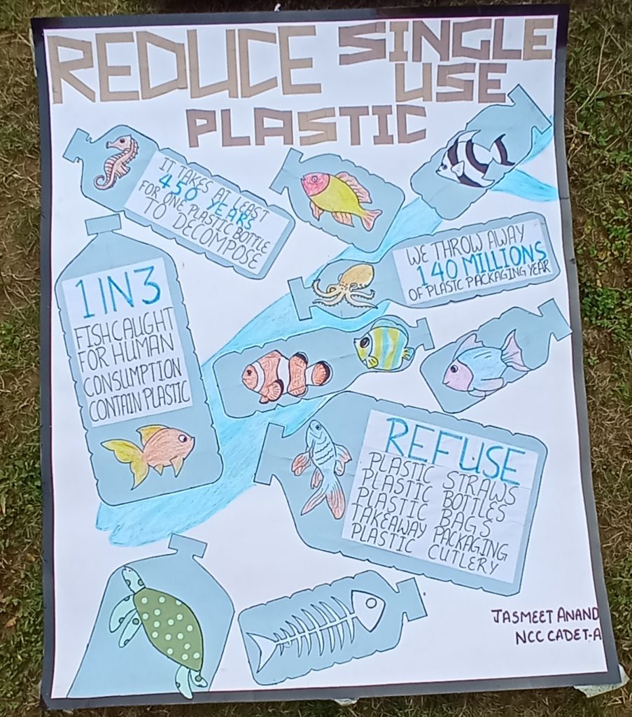 research paper on single use plastic