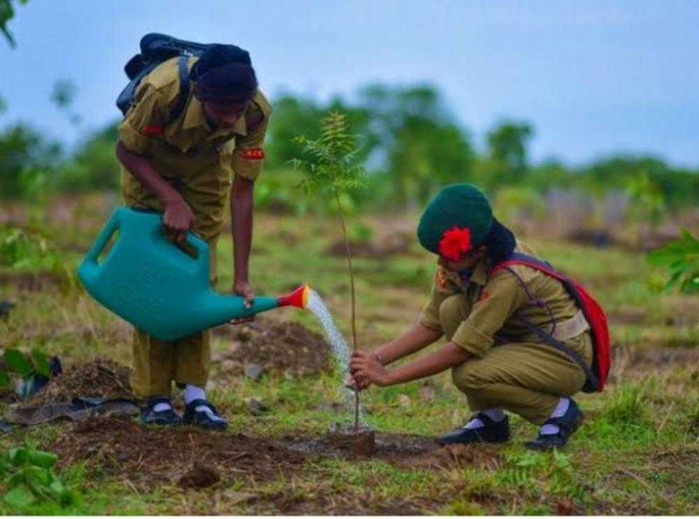 Tree Plantation – India NCC