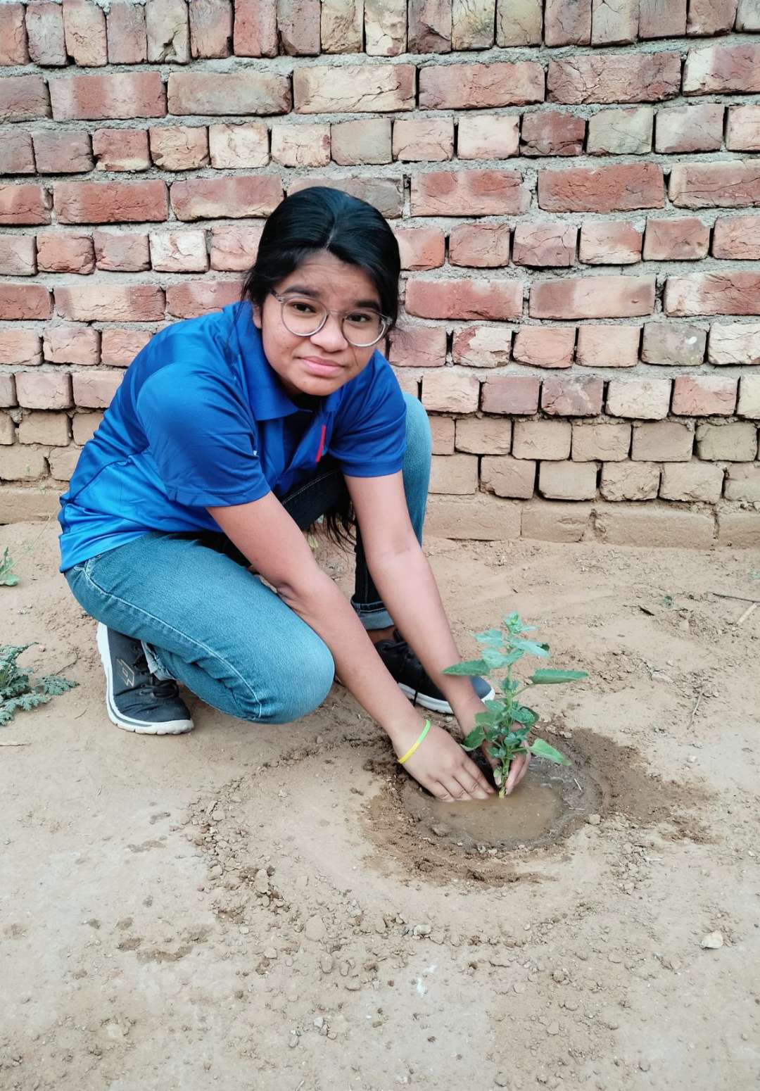 tree-plantation-india-ncc