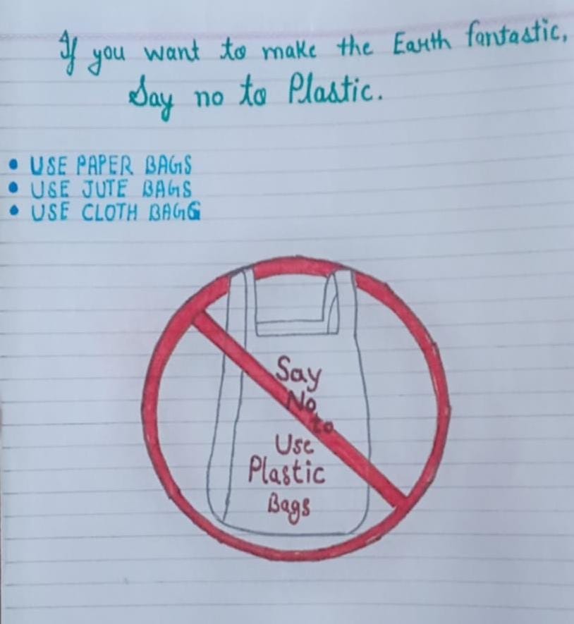 Say no to use plastic bag – India NCC
