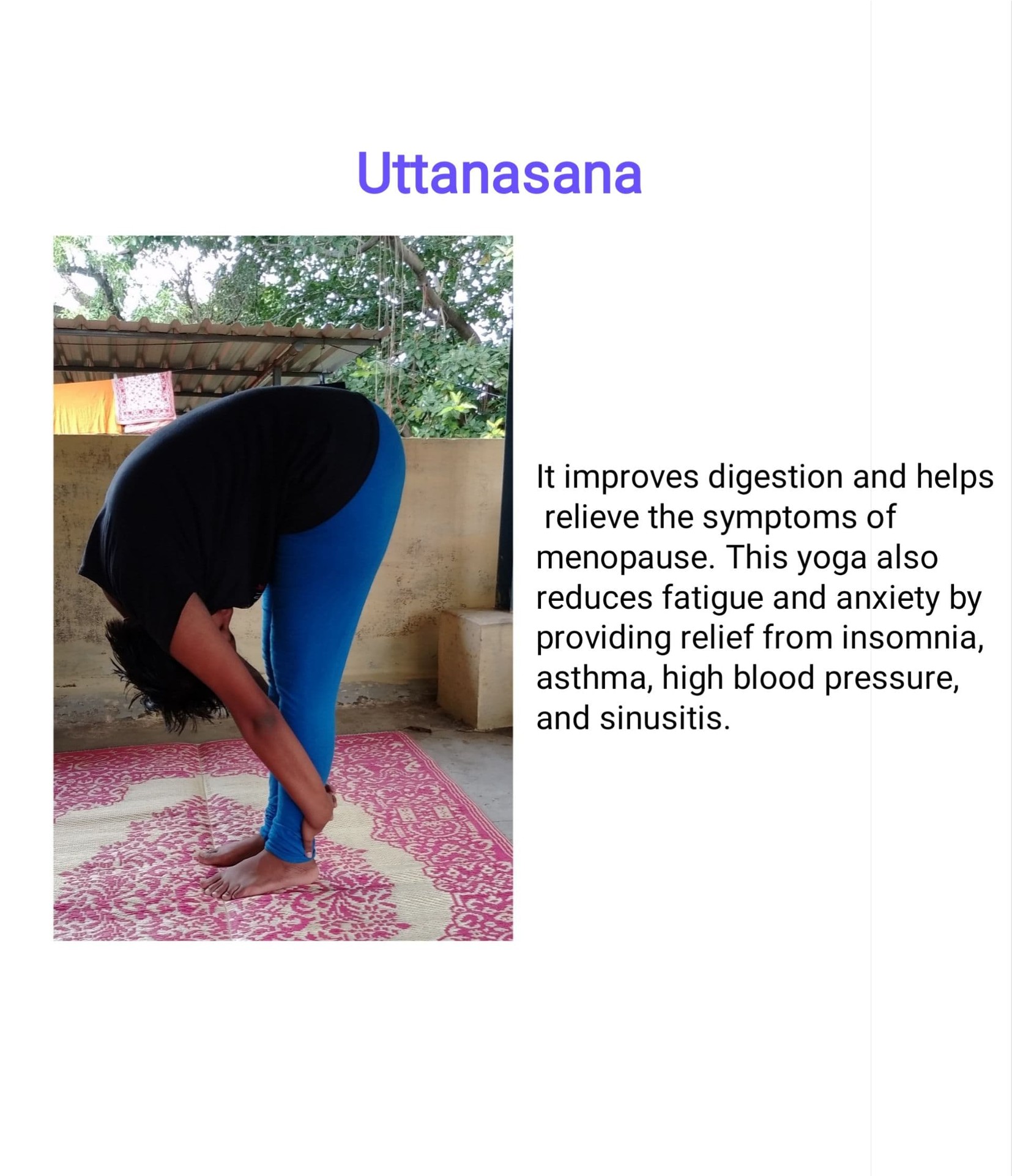 Vinyasa Yoga Ashram - Owner - Vinyasa Yoga Ashram | LinkedIn