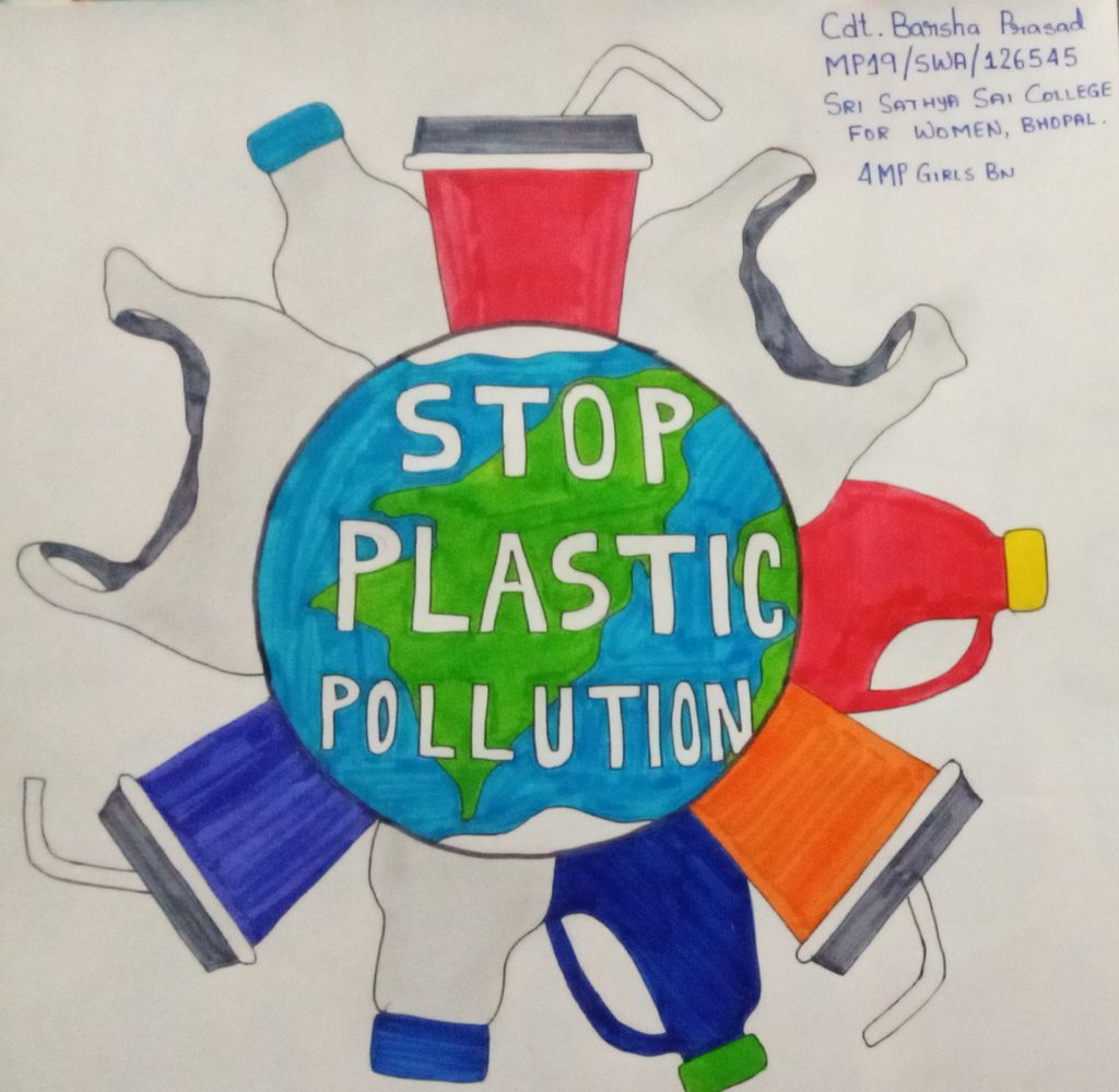 Stop Plastic Pollution Handwritten Black Vector Lettering Set Zero Waste  Plastic Free Slogans Stock Illustration - Download Image Now - iStock
