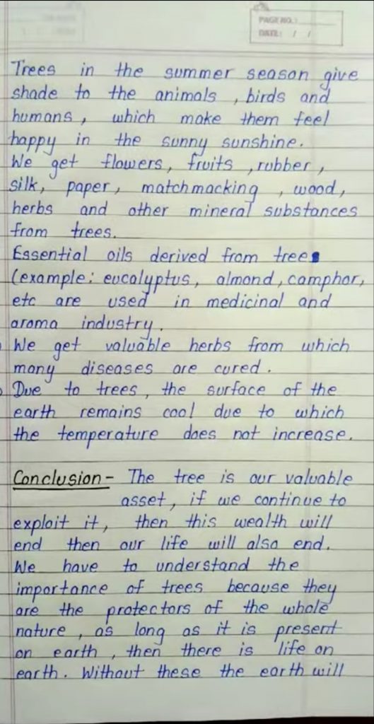 Tree Plantation – India NCC