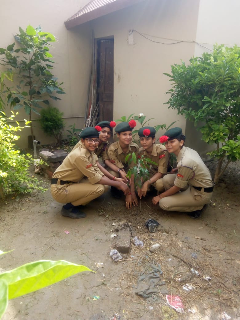 Cleanliness India Ncc Cleanliness India Ncc