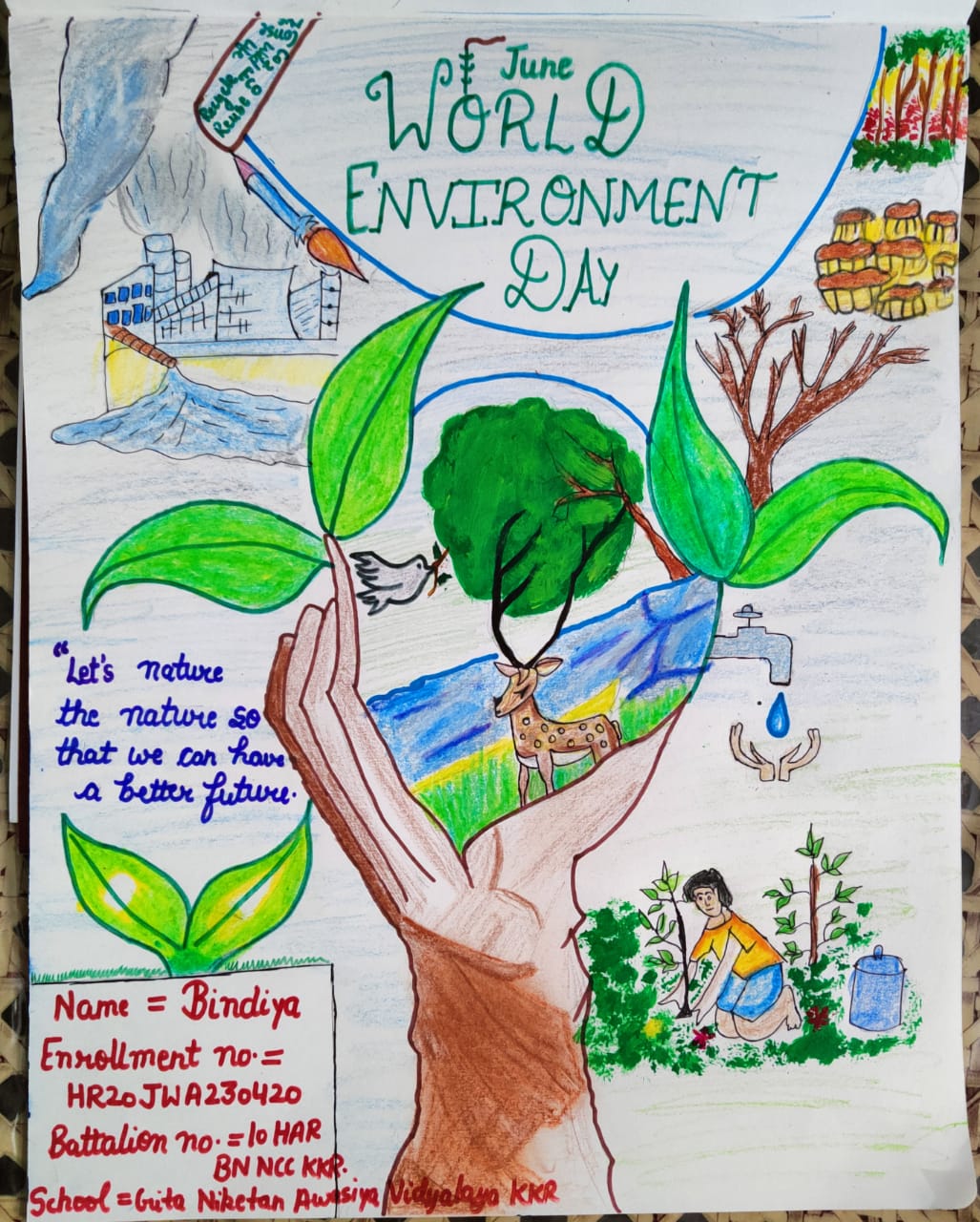 Save environment – India NCC