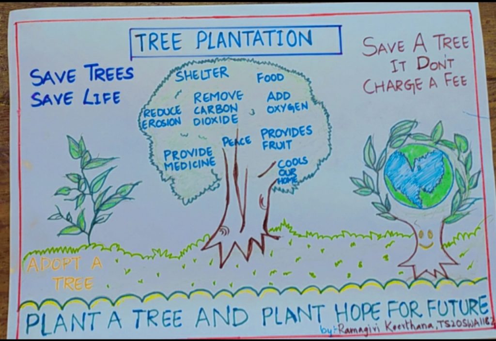 Easy Scenery Drawing of Tree Plantations | World Environme… | Flickr-saigonsouth.com.vn