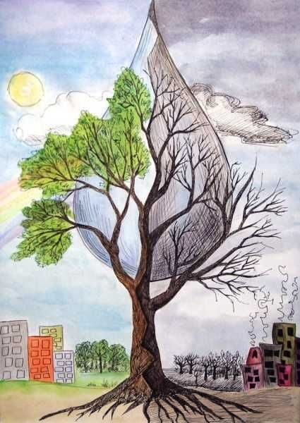 Tree Plantation Line Art Illustration Stock Illustration 1951414309 |  Shutterstock