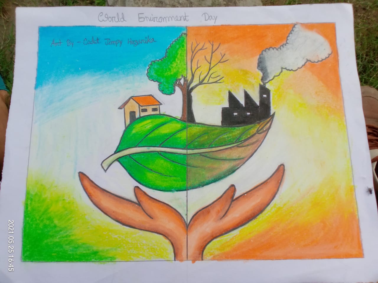 Painting- World environment day – India NCC