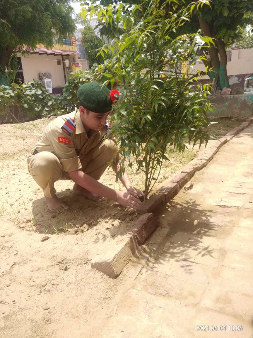 Planting The Tree – India NCC