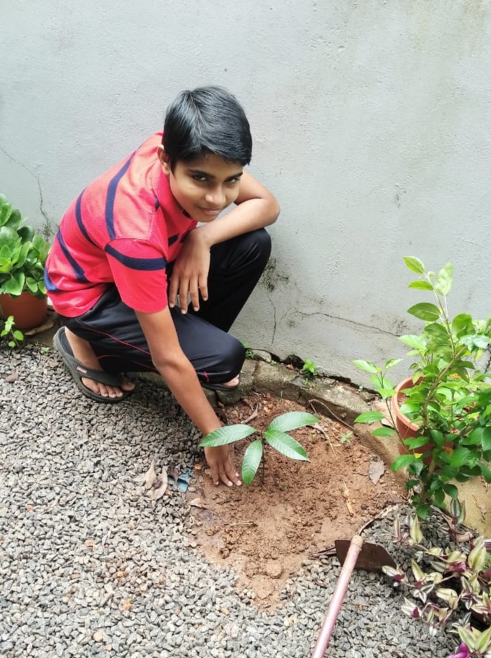 Planting tree on environment day – India NCC