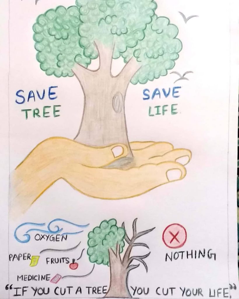 How to draw save trees drawing - Poster making on save trees | Tree drawing,  Save earth drawing, Earth drawings