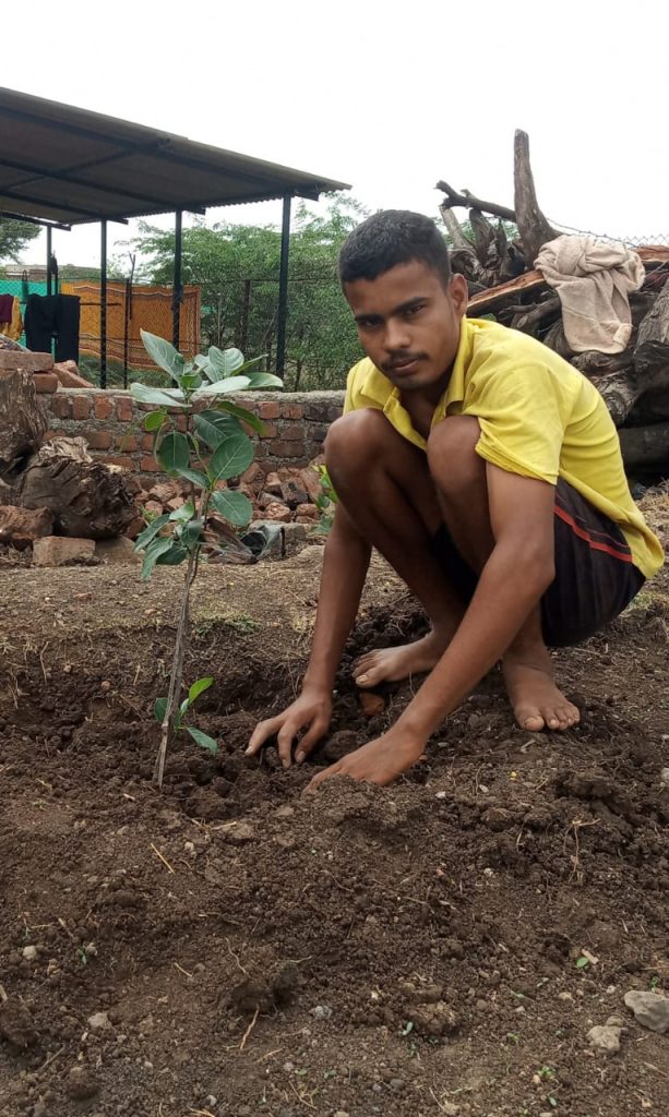 Tree Plantation – India NCC