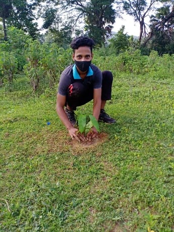 Tree plantation – India NCC