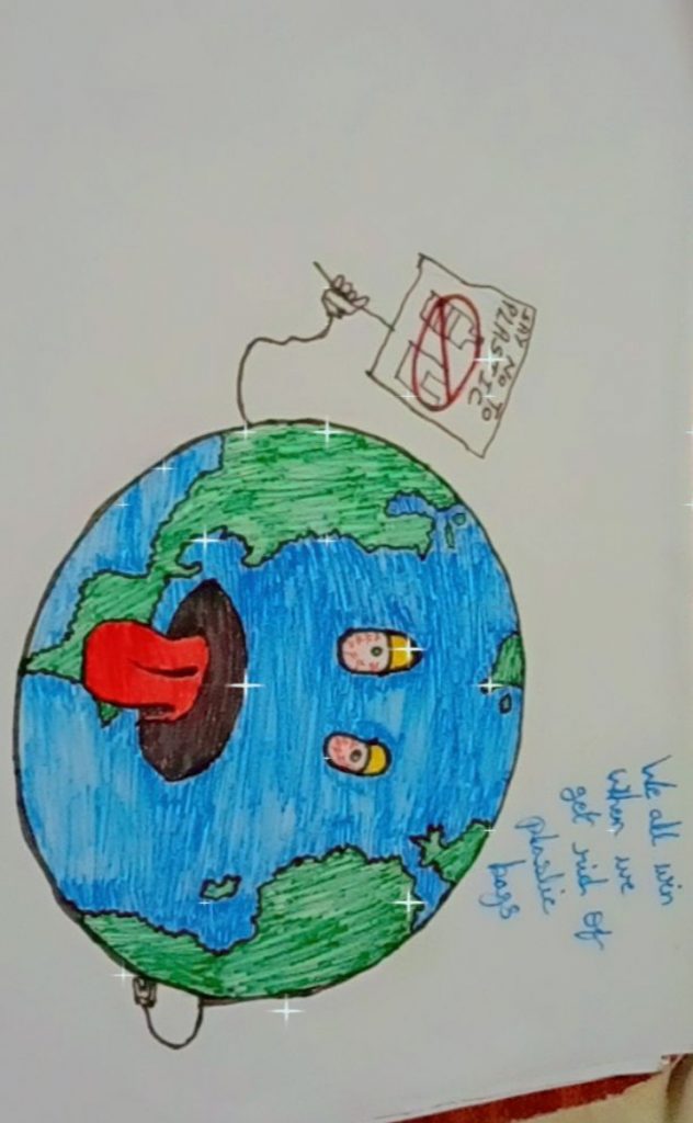 project on Plastics It's harmful effect 3R How to reduse use of plastics  Use colorful pictures Page limit 6- - Brainly.in