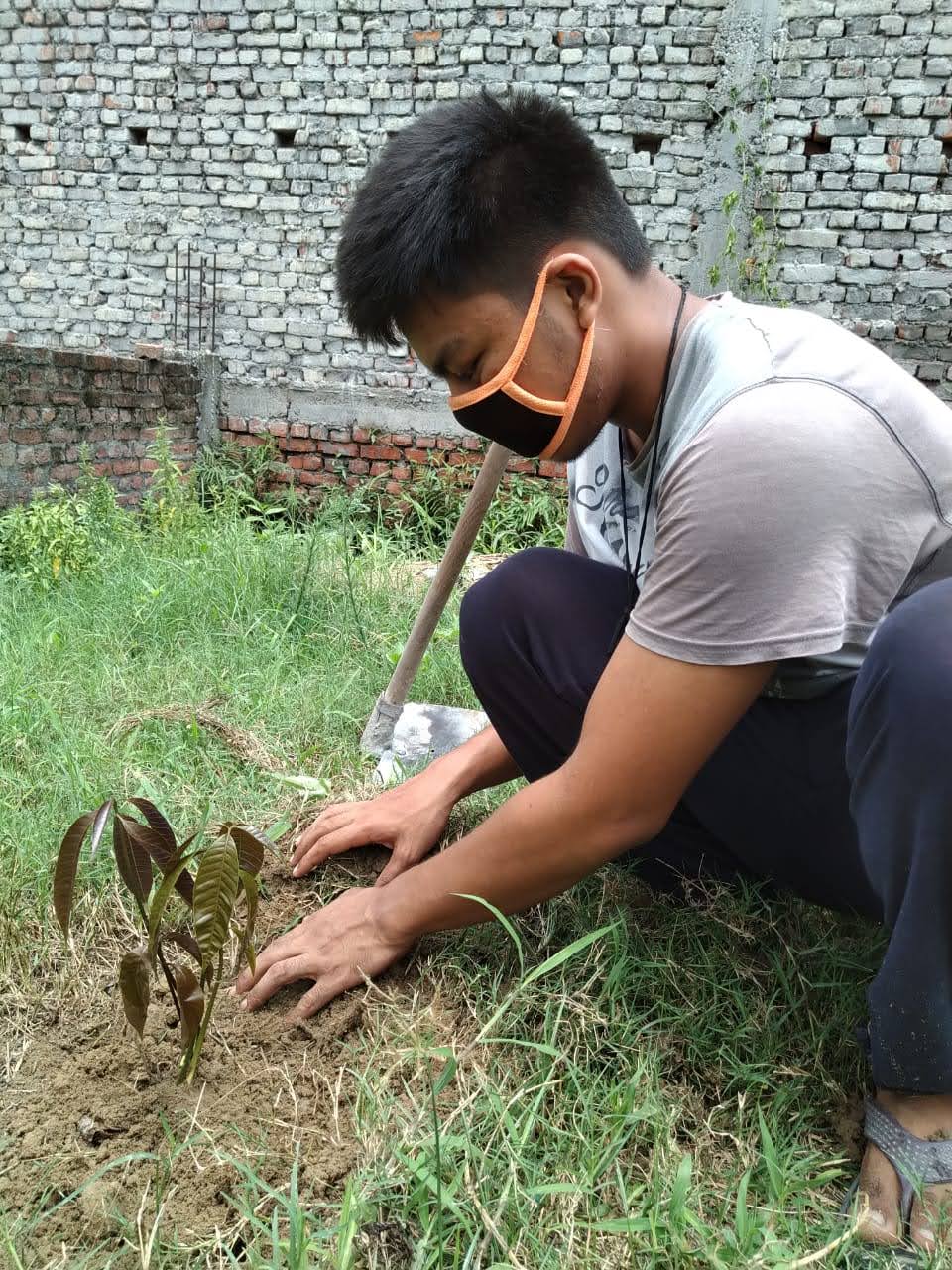 Tree planting – India NCC