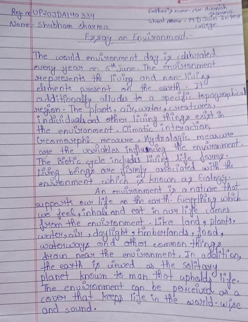 essay on environment and population