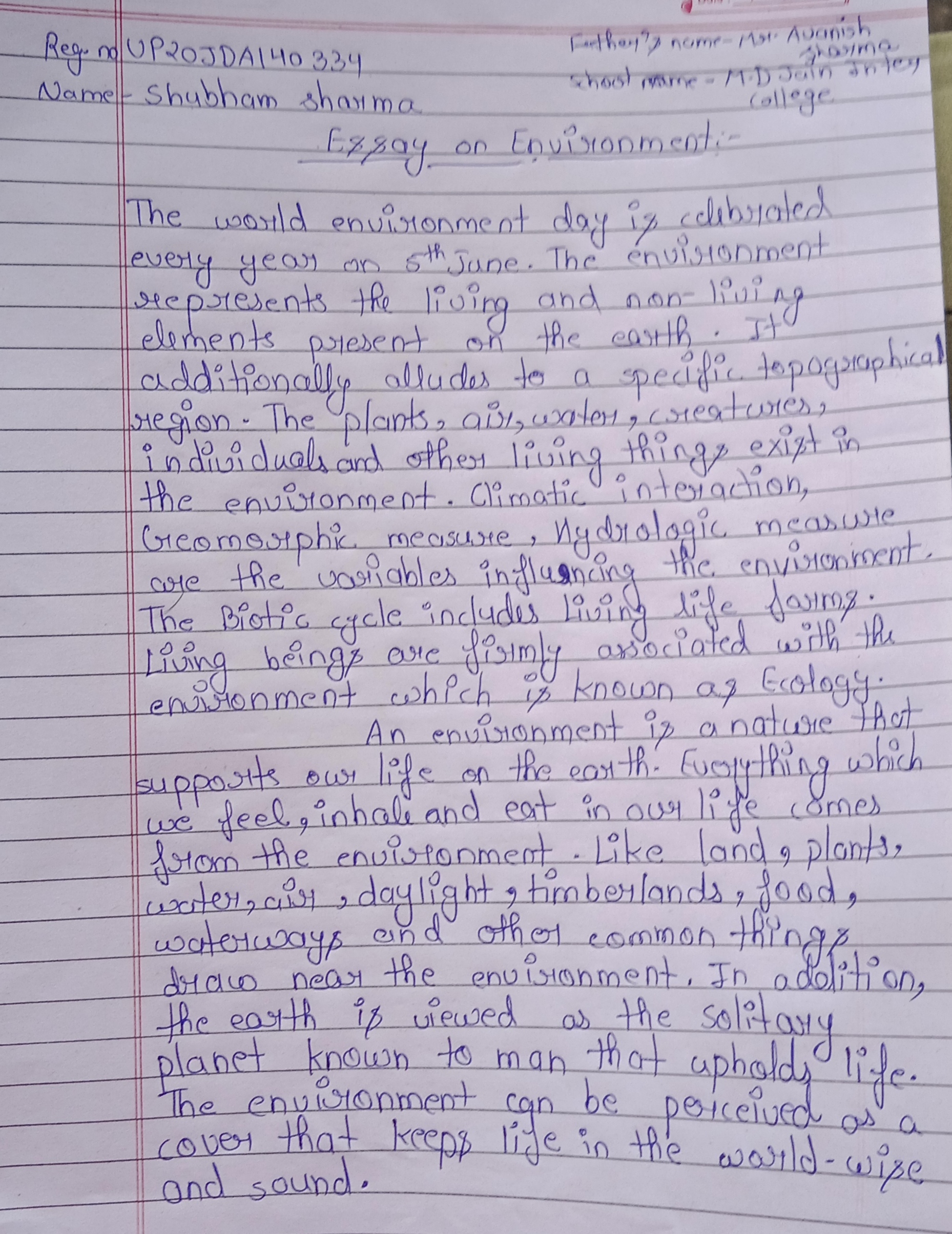 essay on environment class 8