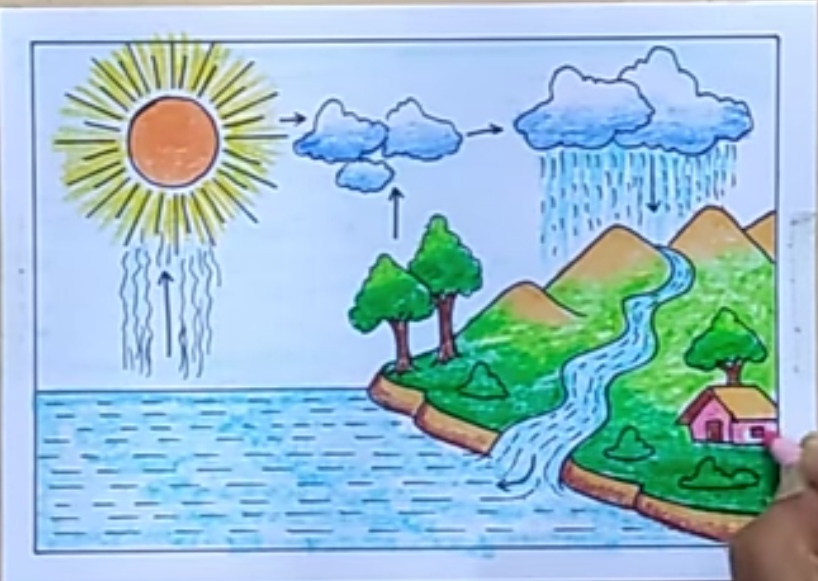 How to draw Water Cycle easy | Water Cycle drawing step by step for  beginners Color Drawing - YouTube