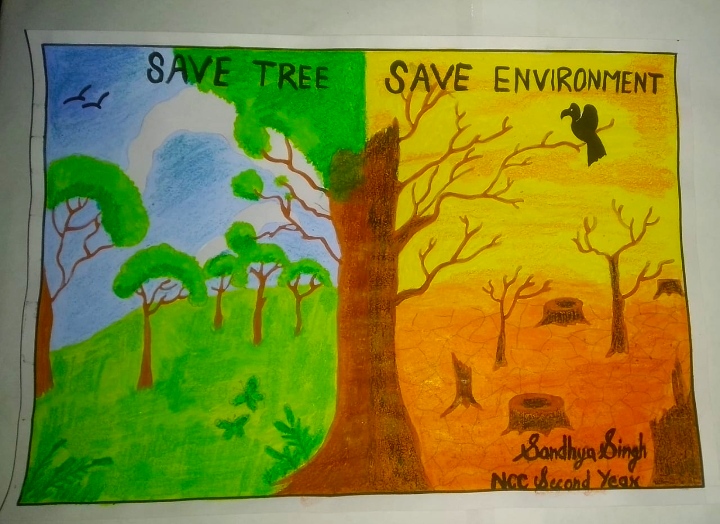 World environment Day celebrated with enthusiasm at GDC Pouni – India  Education | Latest Education News | Global Educational News | Recent  Educational News