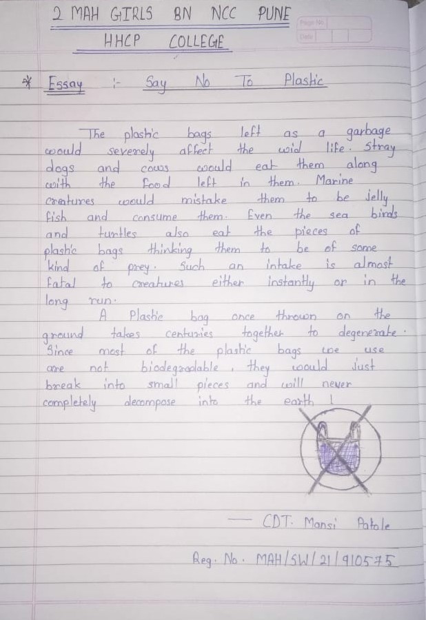 essay about say no to plastic