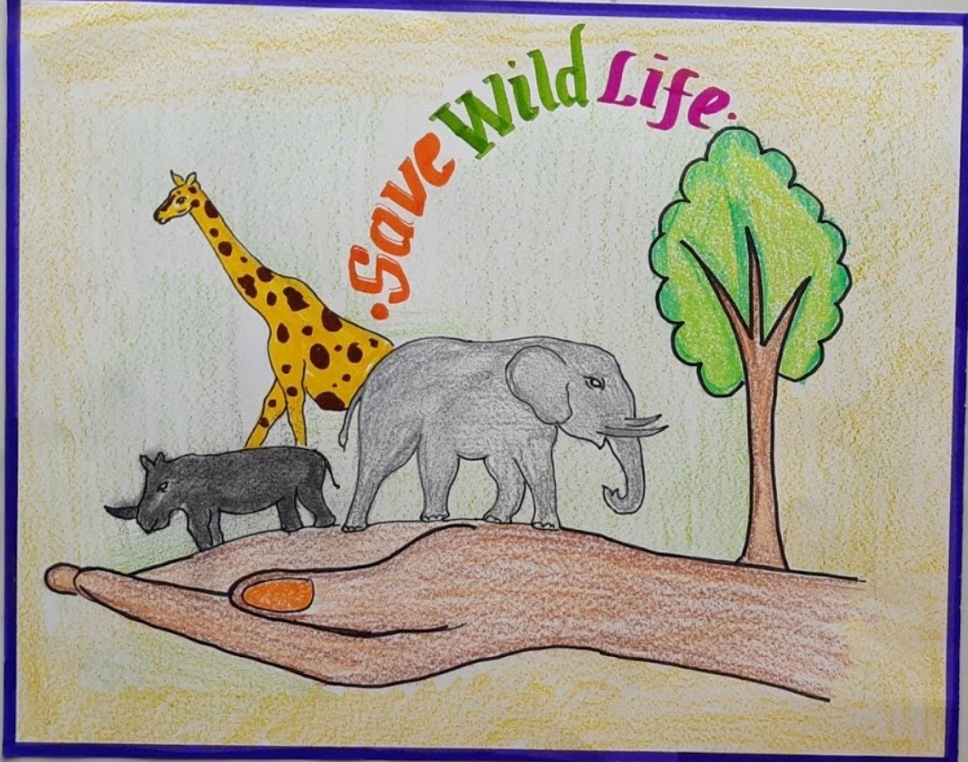 Winners of the Endangered Species Kids Poster Design Contest – Cicada Tree  Eco-Place