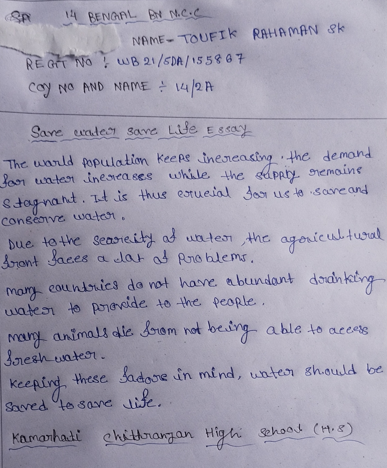 save life essay