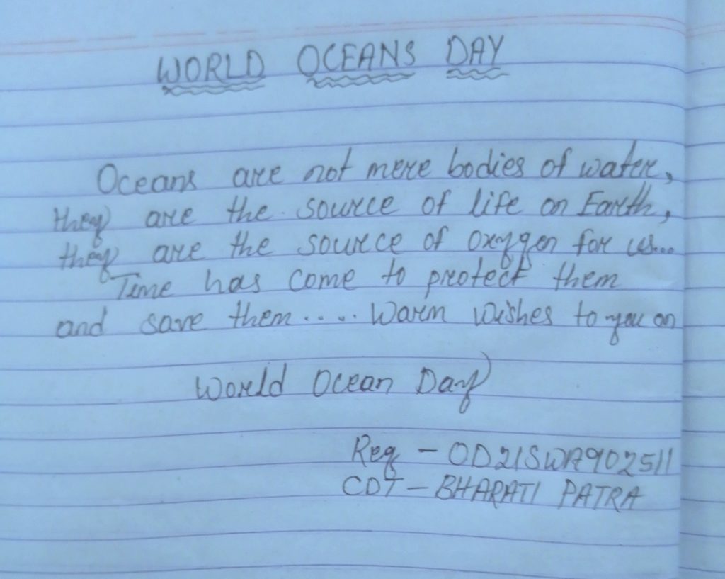 essay on ocean day