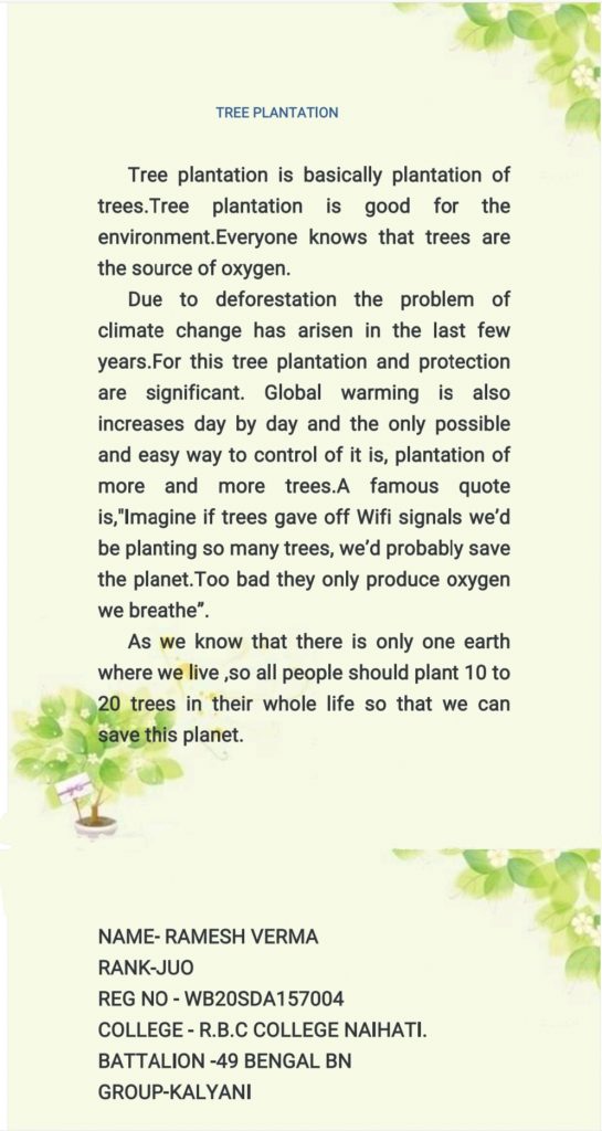 essay about tree plantation