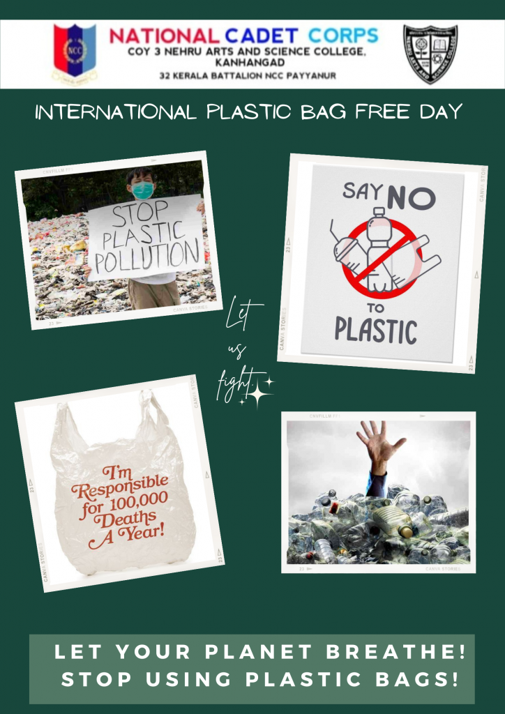 Harmful Effects of Plastic Bag Usage. Once plastic bags come to deform,  chemicals affect the environment negatively and they contaminate our food  chain. - ppt download