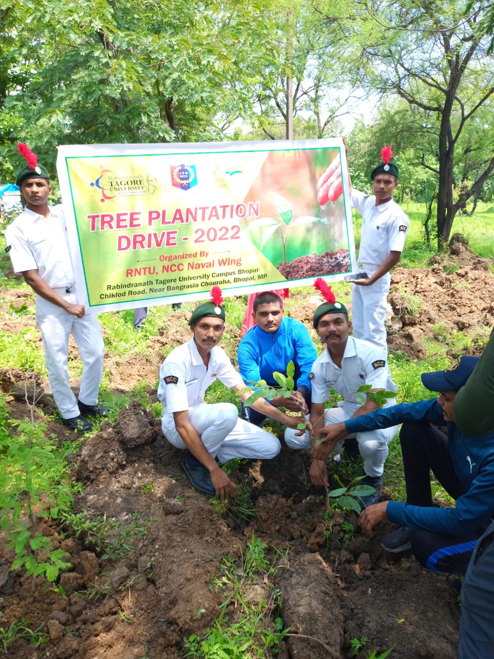 Tree Plantation – India NCC