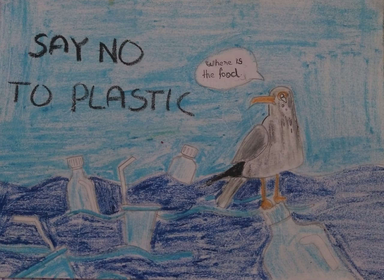 SAY NO TO PLASTIC – India NCC