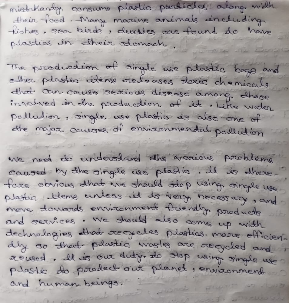 essay on plastic ban in india