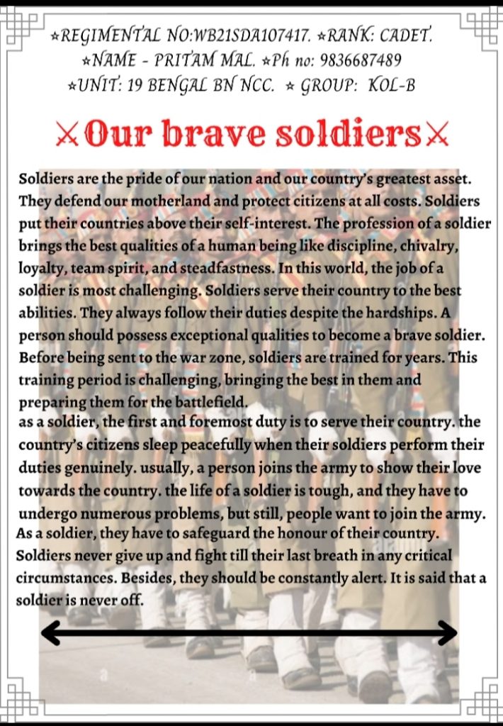 essay on our brave soldiers