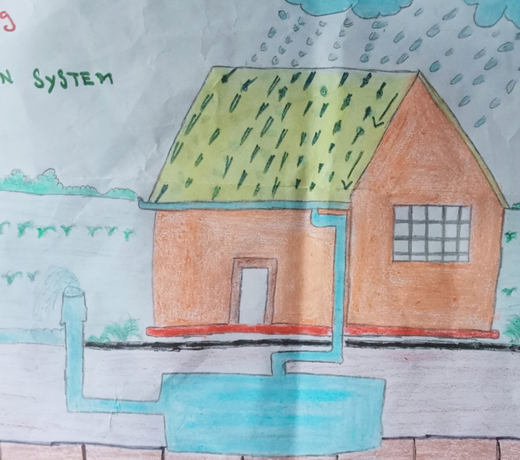 What is a Rainwater Harvesting System? | GRAF