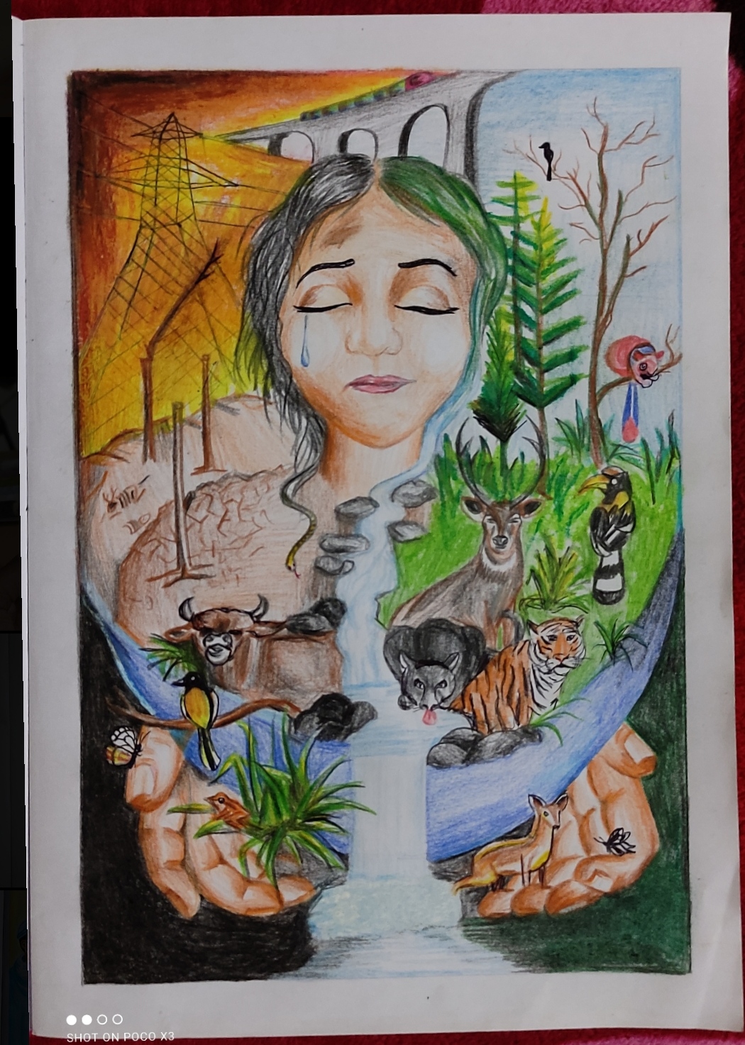 Save Mother Earth painting India NCC