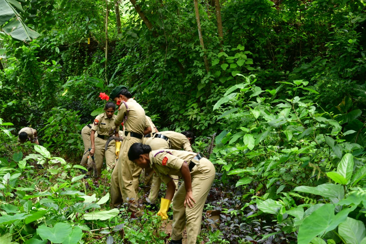 dry-day-india-ncc