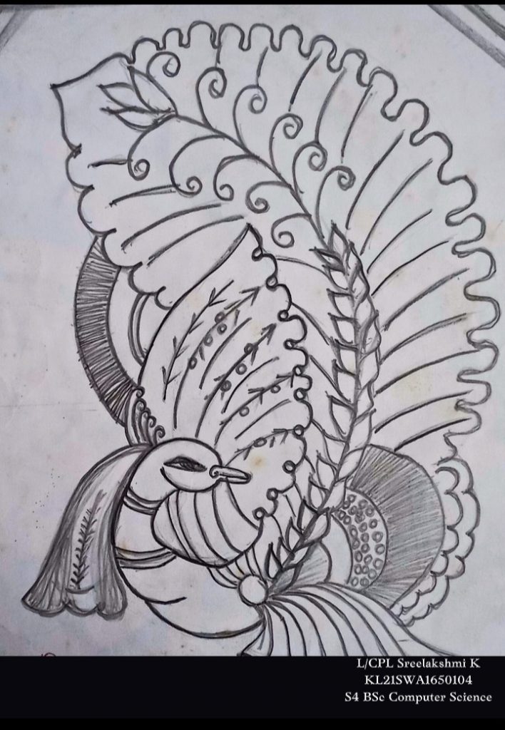 Peacock Pencil Sketch Art-saigonsouth.com.vn