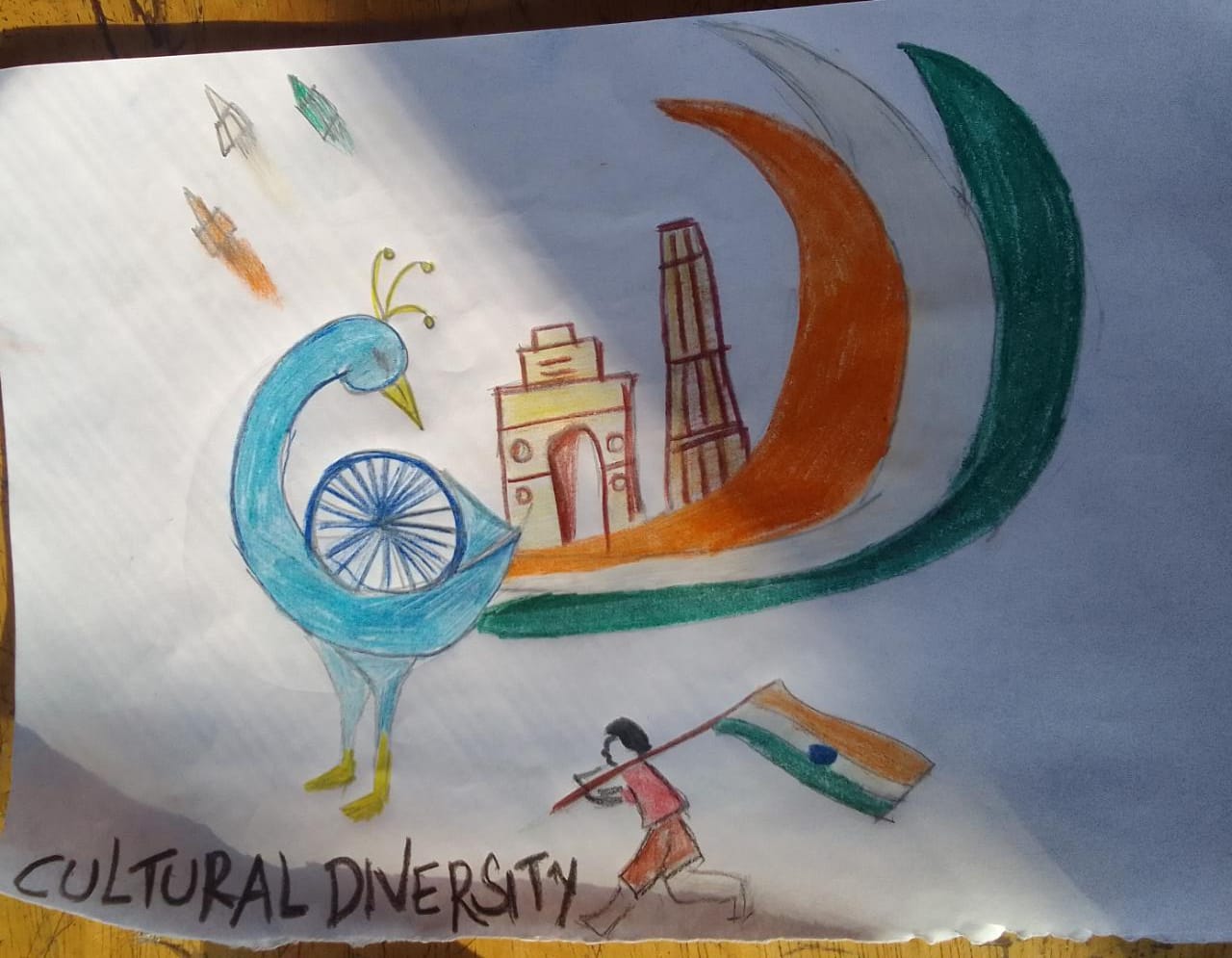 CULTURAL DIVERSITY – India NCC