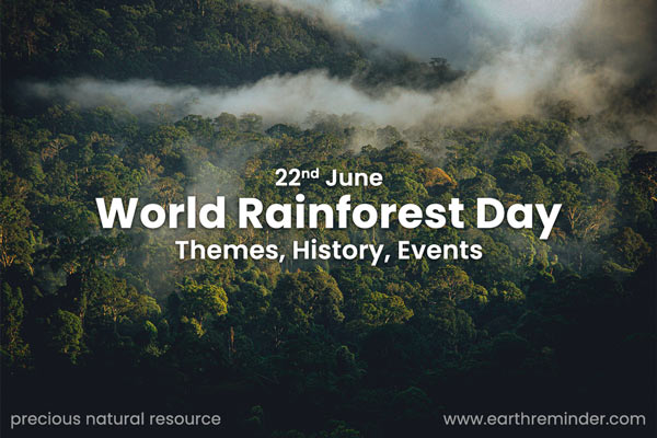 WORLD RAINFOREST DAY – India NCC