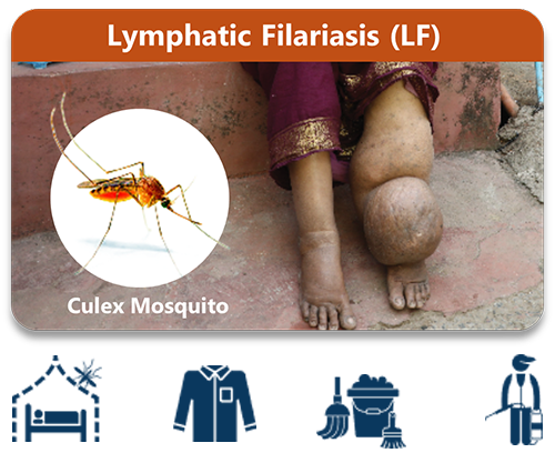 శోషరస ఫైలేరియాసిస్ (LF)