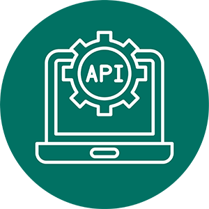 API Security
            