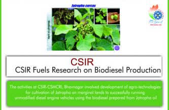 CSIR Fuels Research on Biodiesel Production