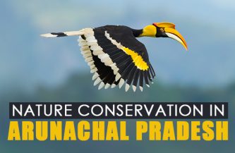Nature conservation in Arunachal Pradesh