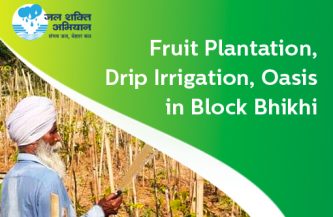Fruit Plantation, Drip Irrigation, Oasis in Block Bhikhi