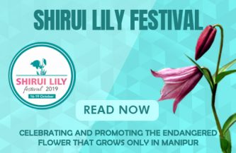 SHIRUI LILY FESTIVAL – Celebrating and promoting the flower that grows only in Manipur