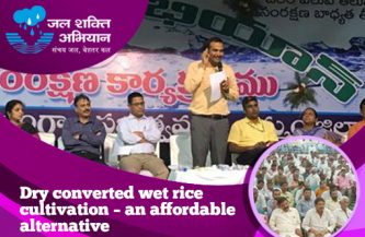 Dry converted wet rice cultivation – an affordable alternative